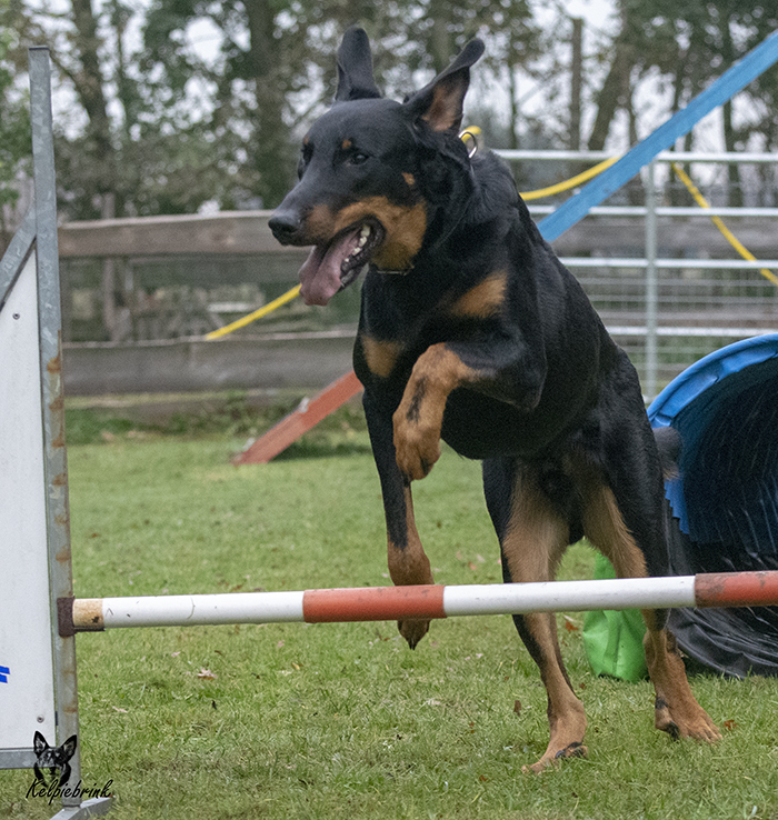 Training En B&B